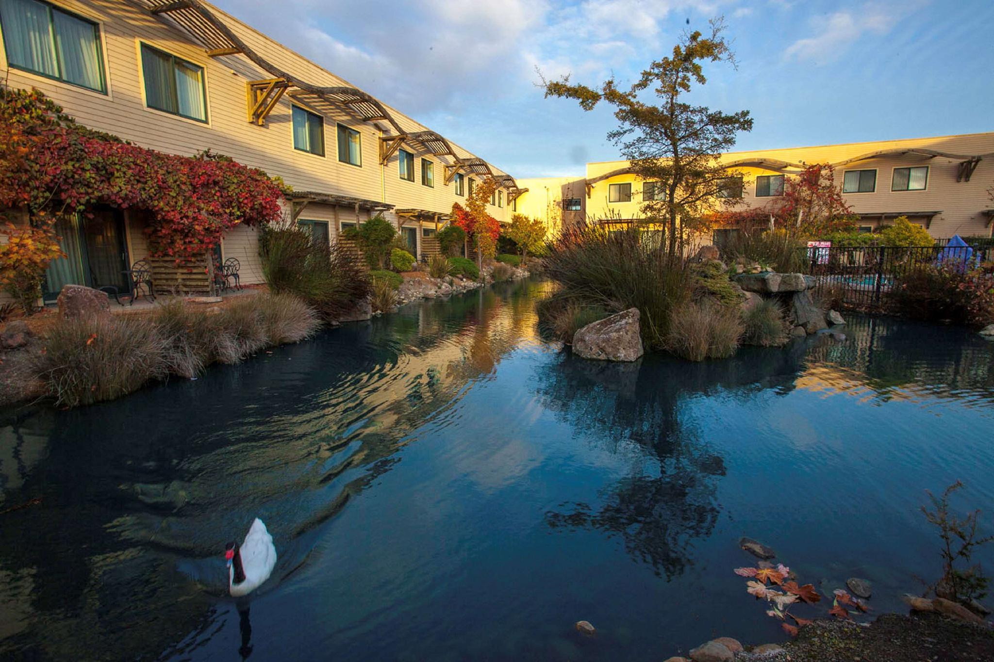 Doubletree By Hilton Napa Valley - American Canyon Exterior foto